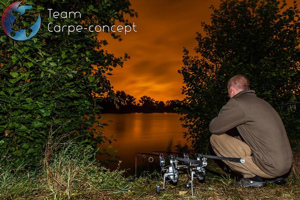 carp - 12395241391978241032307631992332n.jpg